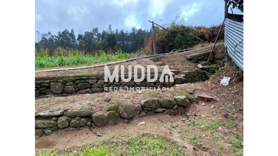 Terreno para Venda em Vila de Cucujães