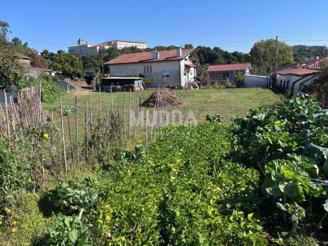 Terreno para Venda em Vila de Cucujães Foto 5