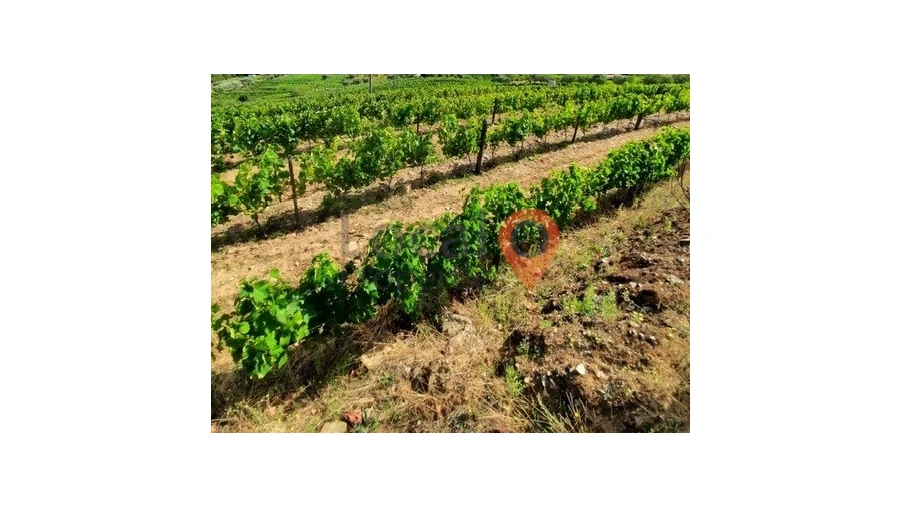 Terreno para Venda em Sanfins do Douro Foto 2