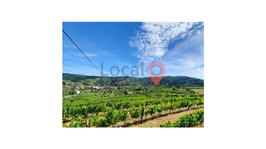 Terreno para Venda em Sanfins do Douro