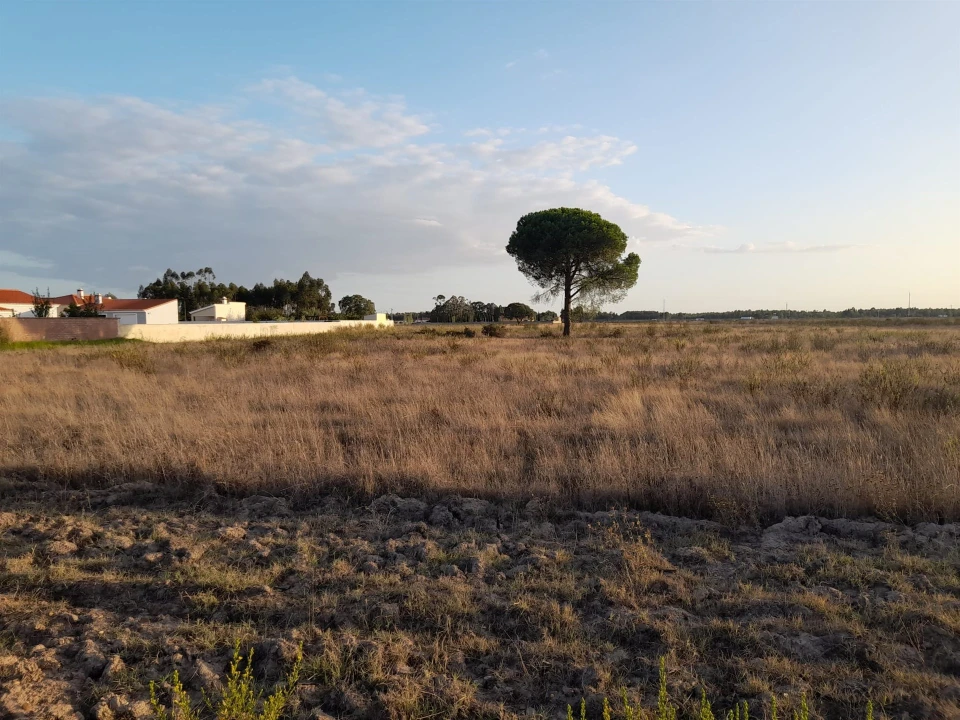 Terreno Agricola ou Rústico para Venda em Glória do Ribatejo e Granho Foto 1