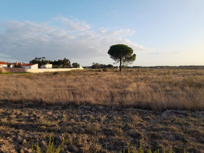 Terreno Agricola ou Rústico para Venda em Glória do Ribatejo e Granho Foto 1