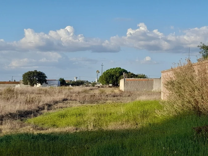 Terreno Agricola ou Rústico para Venda em Glória do Ribatejo e Granho Foto 10