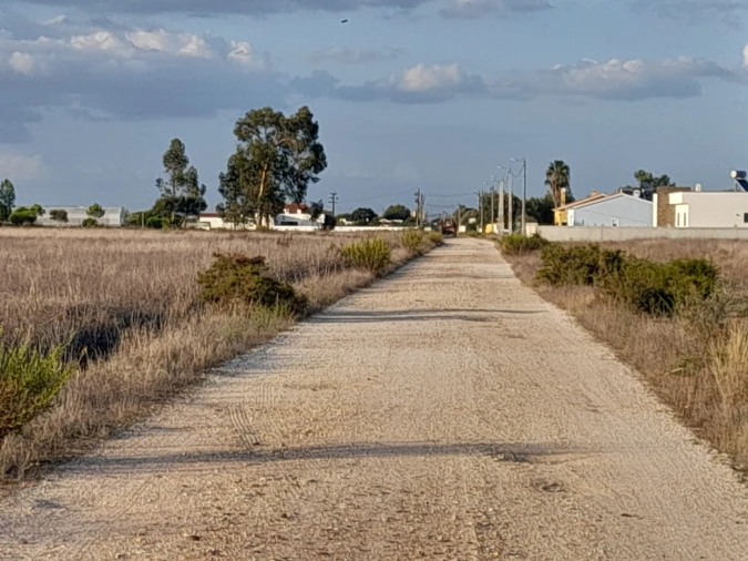 Terreno Agricola ou Rústico para Venda em Glória do Ribatejo e Granho Foto 9