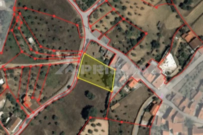 Terreno para Venda em Salgueiro do Campo