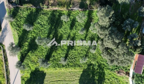 Terreno para Venda em Salgueiro do Campo