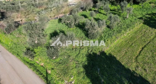 Terreno para Venda em Salgueiro do Campo