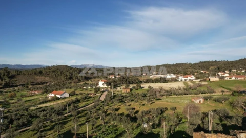 Terreno para Venda em Salgueiro do Campo