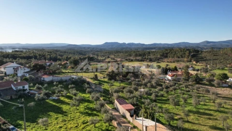 Terreno para Venda em Salgueiro do Campo