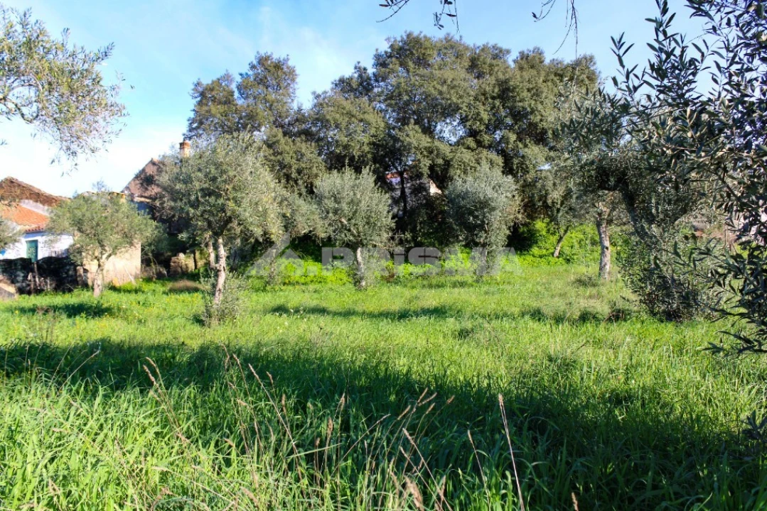 Terreno para Venda em Salgueiro do Campo Foto 16
