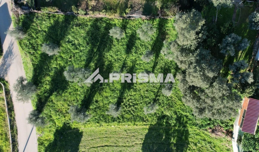 Terreno para Venda em Salgueiro do Campo Foto 6