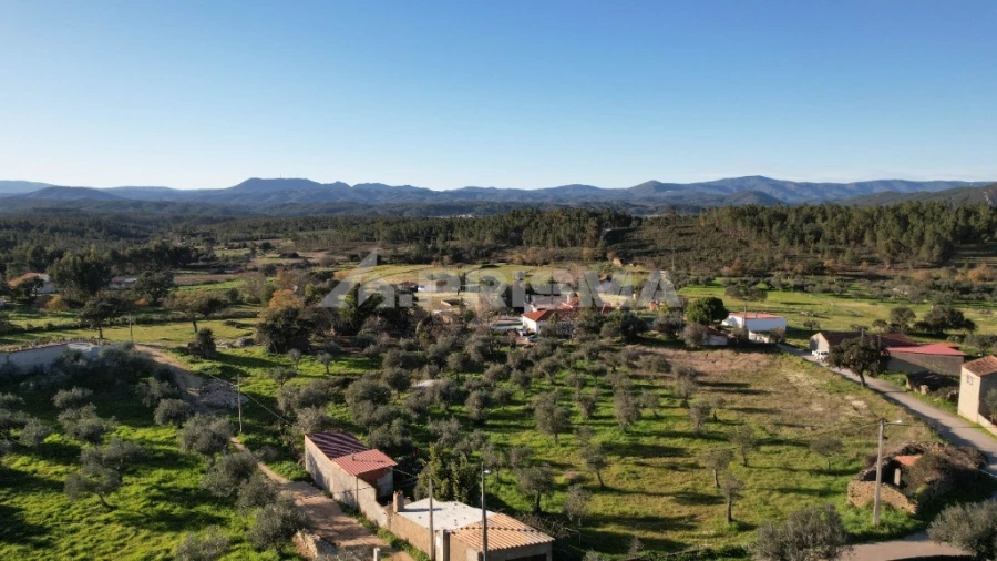 Terreno para Venda em Salgueiro do Campo Foto 22