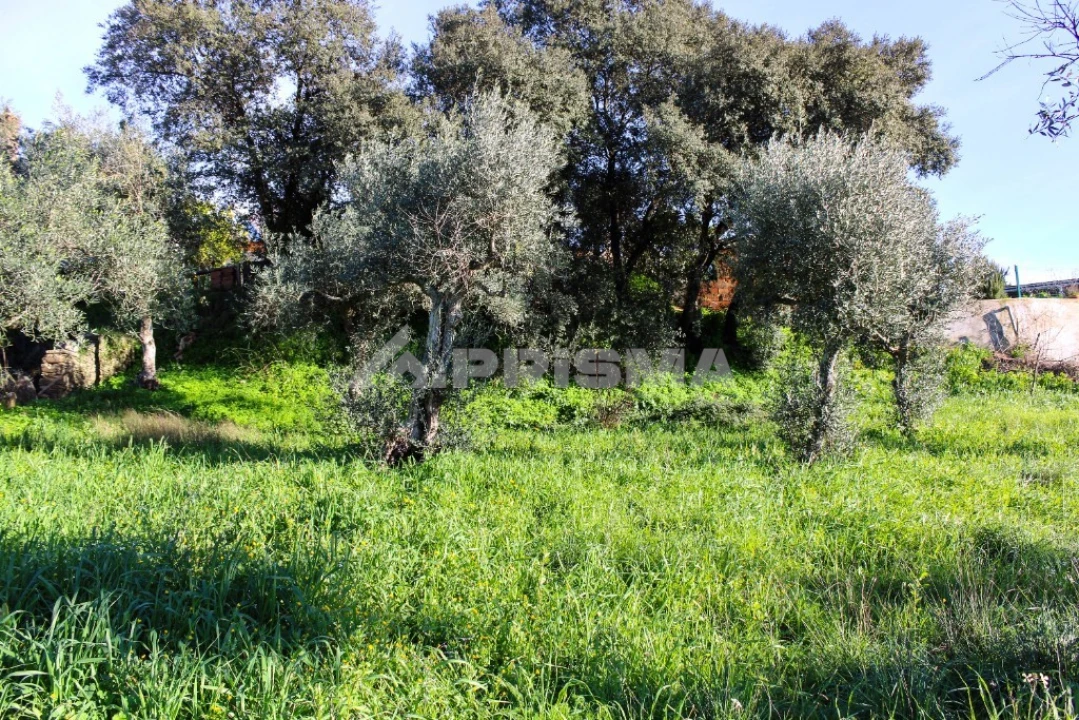 Terreno para Venda em Salgueiro do Campo Foto 18
