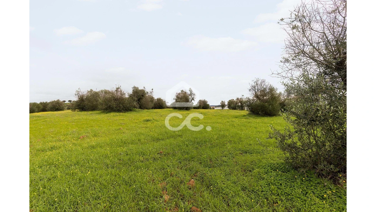 Terreno para Venda em Redondo Foto 10