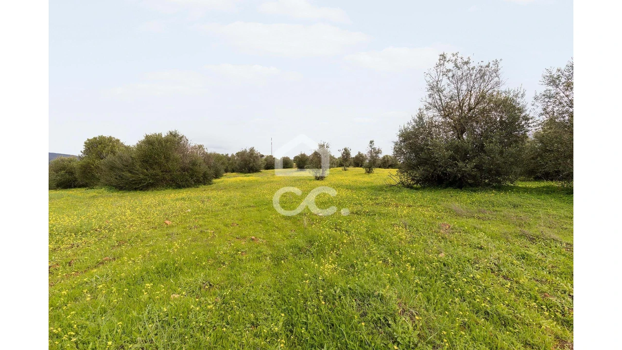 Terreno para Venda em Redondo Foto 11