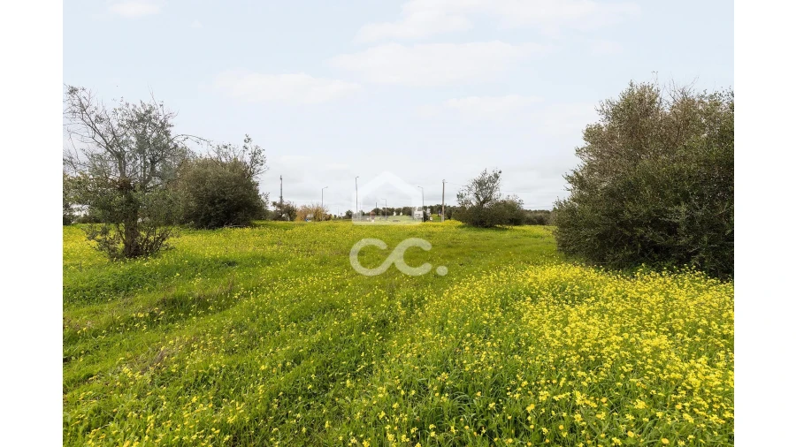 Terreno para Venda em Redondo Foto 12