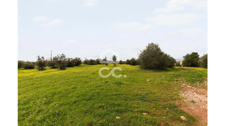 Terreno para Venda em Redondo Foto 17