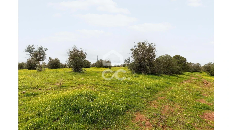 Terreno para Venda em Redondo Foto 18