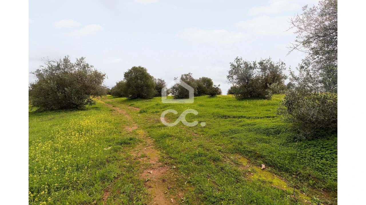 Terreno para Venda em Redondo Foto 19