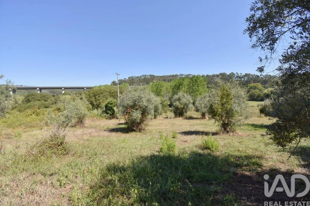 Moradia T3 para Venda em São Miguel, Santa Eufémia e Rabaçal Foto 26