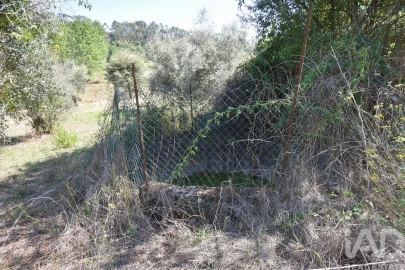 Moradia T3 para Venda em São Miguel, Santa Eufémia e Rabaçal