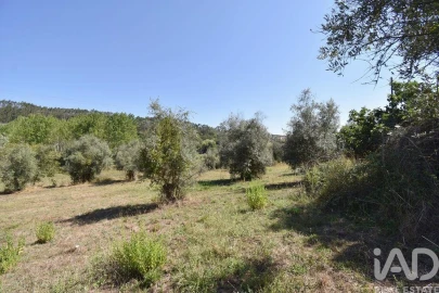 Moradia T3 para Venda em São Miguel, Santa Eufémia e Rabaçal