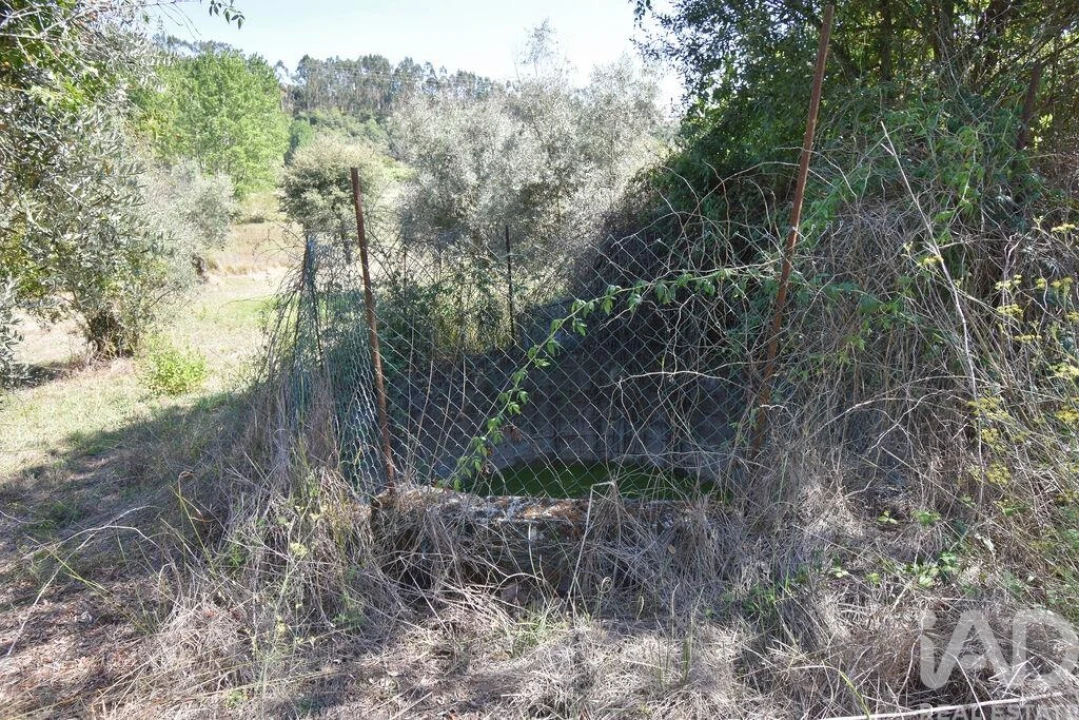 Moradia T3 para Venda em São Miguel, Santa Eufémia e Rabaçal Foto 25