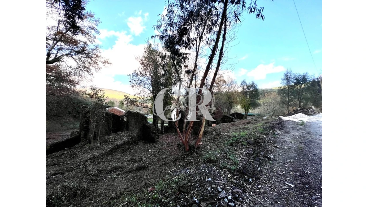Quinta T2 para Venda em Castanheira de Pêra e Coentral Foto 14