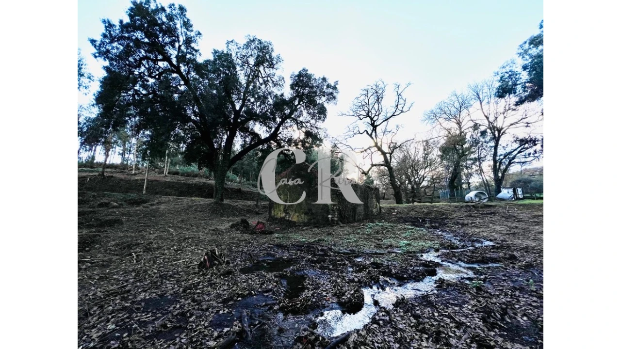Quinta T2 para Venda em Castanheira de Pêra e Coentral Foto 8