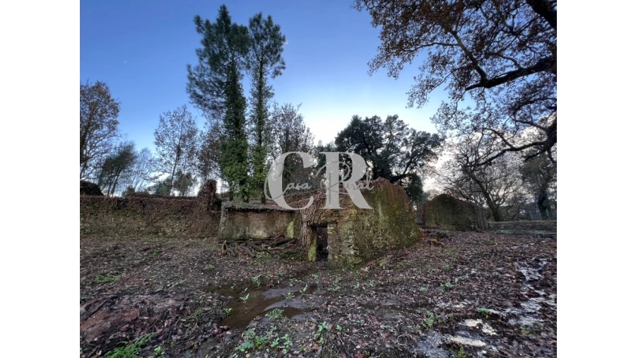 Quinta T2 para Venda em Castanheira de Pêra e Coentral Foto 6