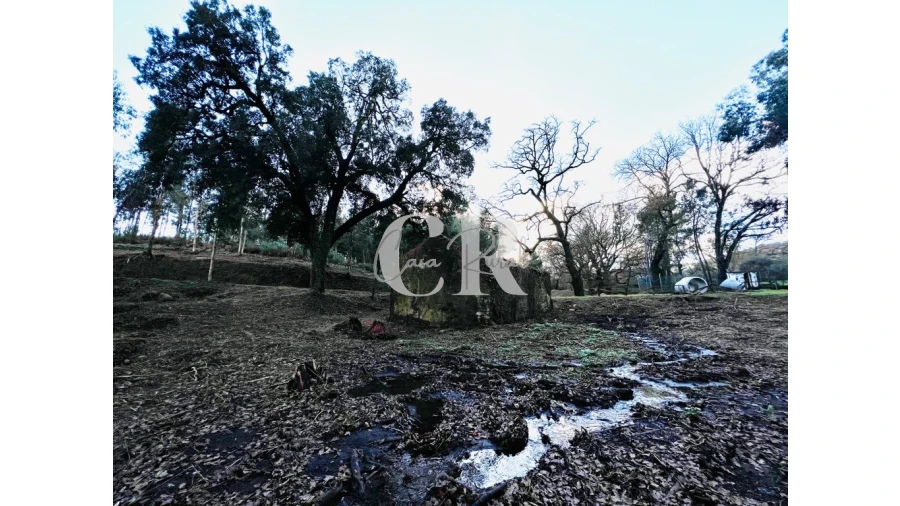 Quinta T2 para Venda em Castanheira de Pêra e Coentral Foto 8