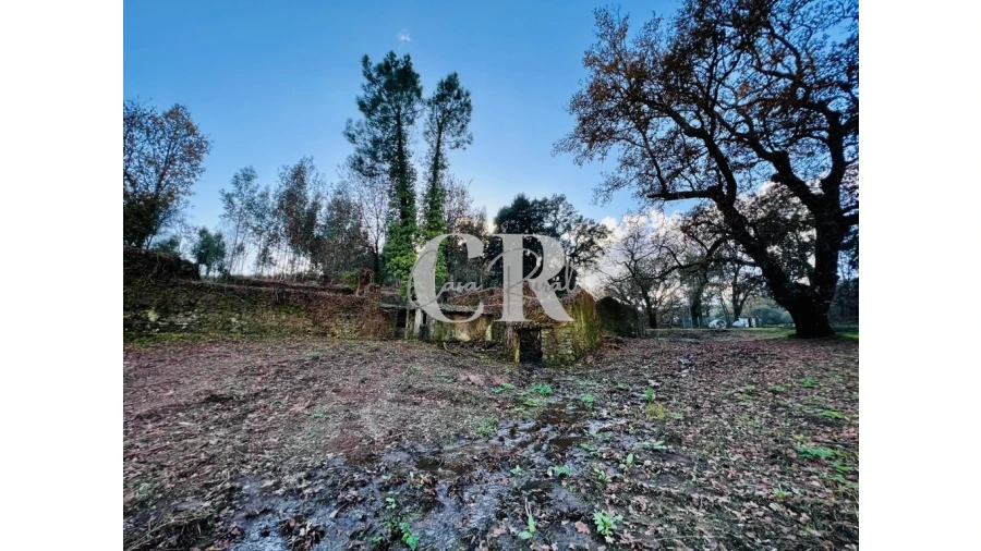 Quinta T2 para Venda em Castanheira de Pêra e Coentral Foto 4