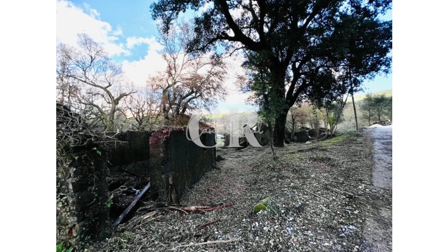 Quinta T2 para Venda em Castanheira de Pêra e Coentral Foto 13