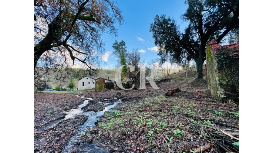 Quinta T2 para Venda em Castanheira de Pêra e Coentral Foto 10
