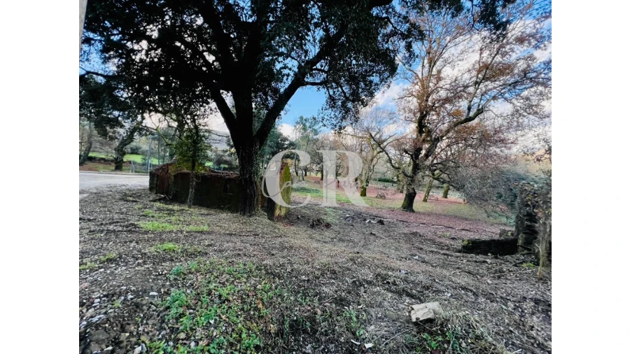 Quinta T2 para Venda em Castanheira de Pêra e Coentral Foto 15