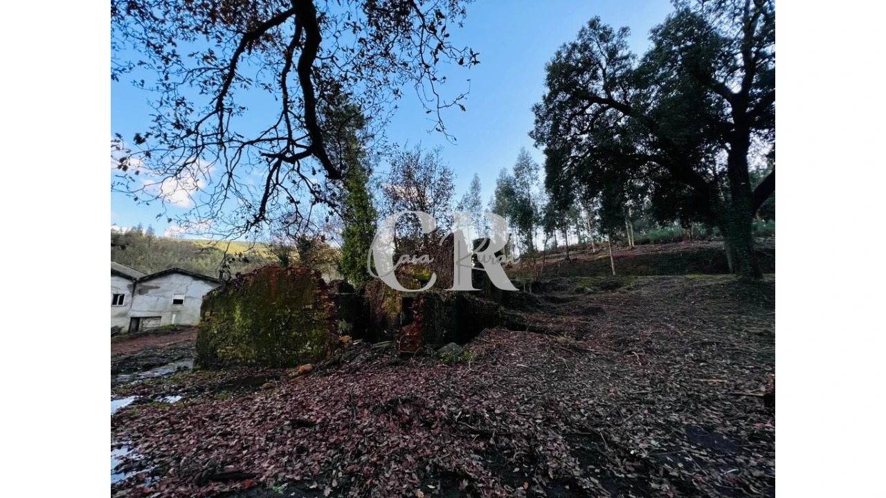 Quinta T2 para Venda em Castanheira de Pêra e Coentral Foto 7