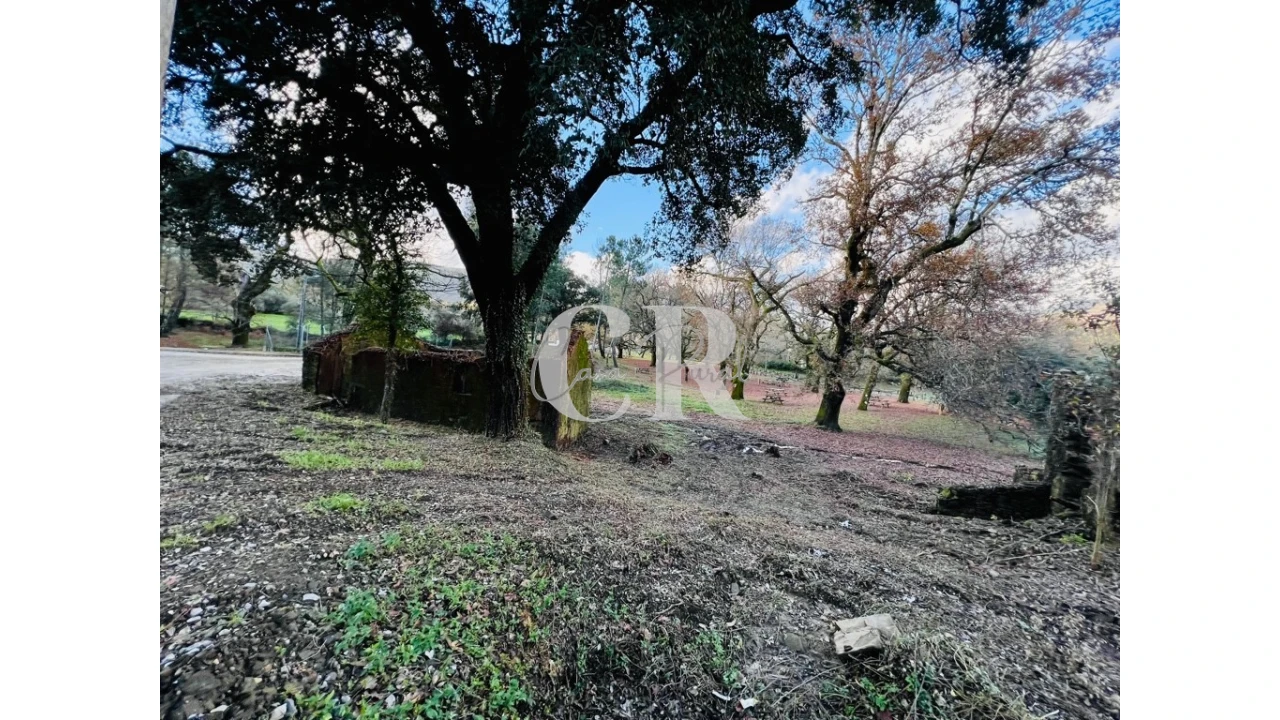 Quinta T2 para Venda em Castanheira de Pêra e Coentral Foto 15