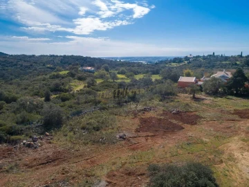 Terreno para Venda em Santa Barbara de Nexe