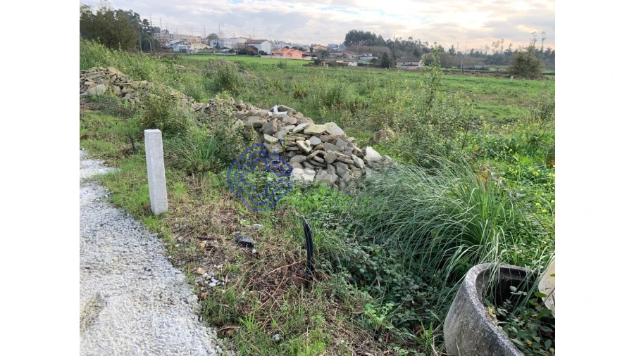 Terreno para Venda em Nogueira e Silva Escura Foto 7