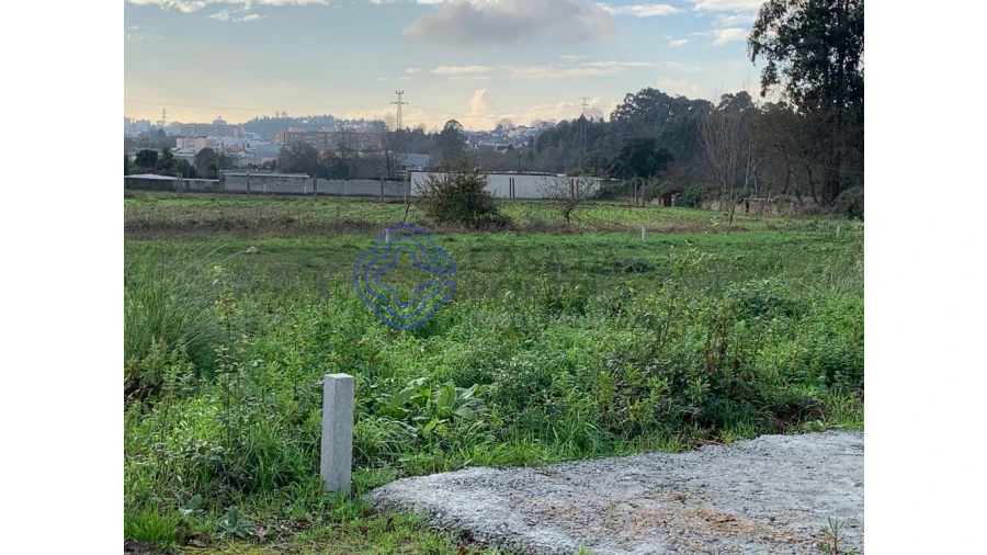 Terreno para Venda em Nogueira e Silva Escura Foto 12