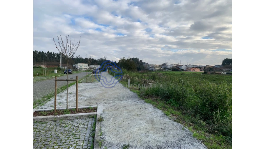 Terreno para Venda em Nogueira e Silva Escura Foto 6