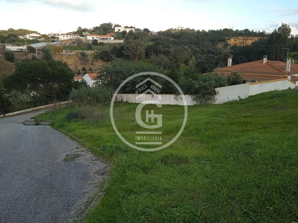 Terreno para Venda em Chamusca e Pinheiro Grande Foto 2