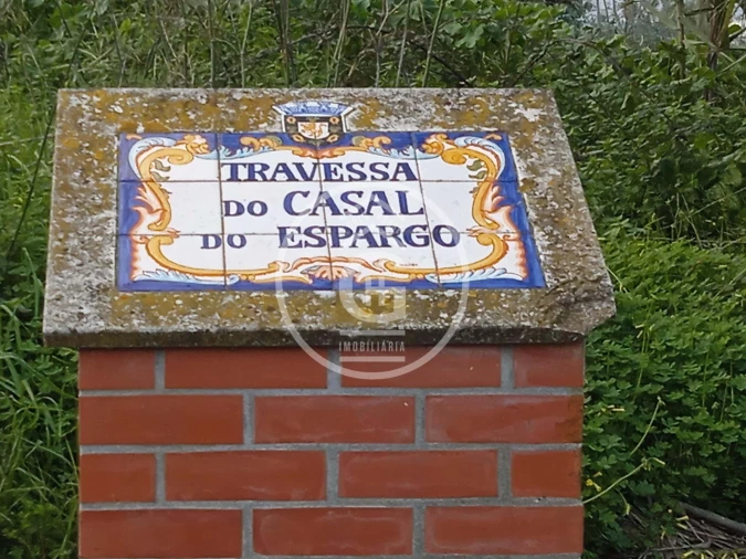 Terreno para Venda em Chamusca e Pinheiro Grande Foto 5