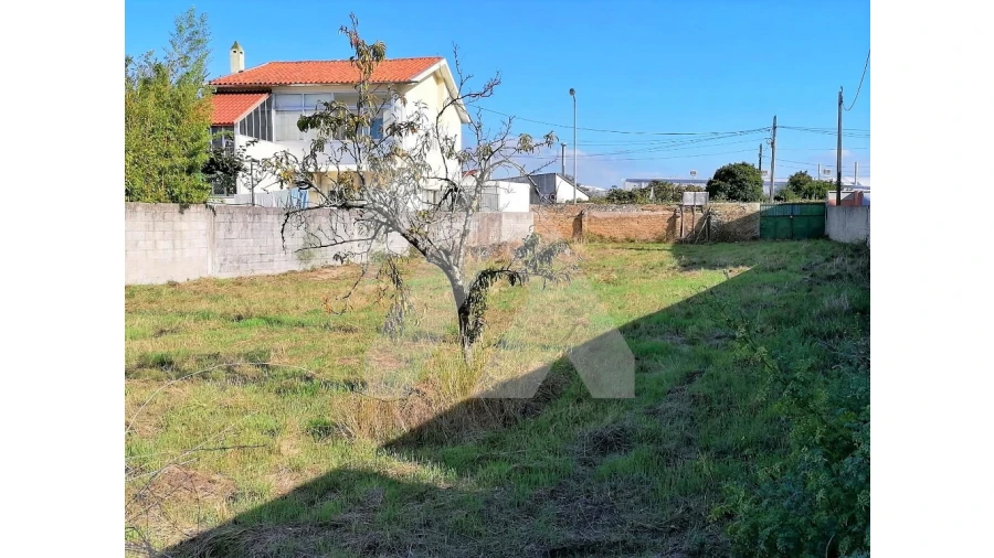Terreno para Venda em Ovar, São João, Arada e São Vicente de Pereira Jusã Foto 3