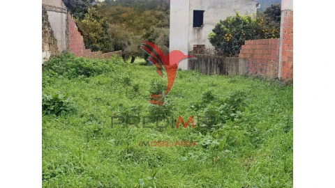 Terreno para Venda em Arneiro das Milhariças