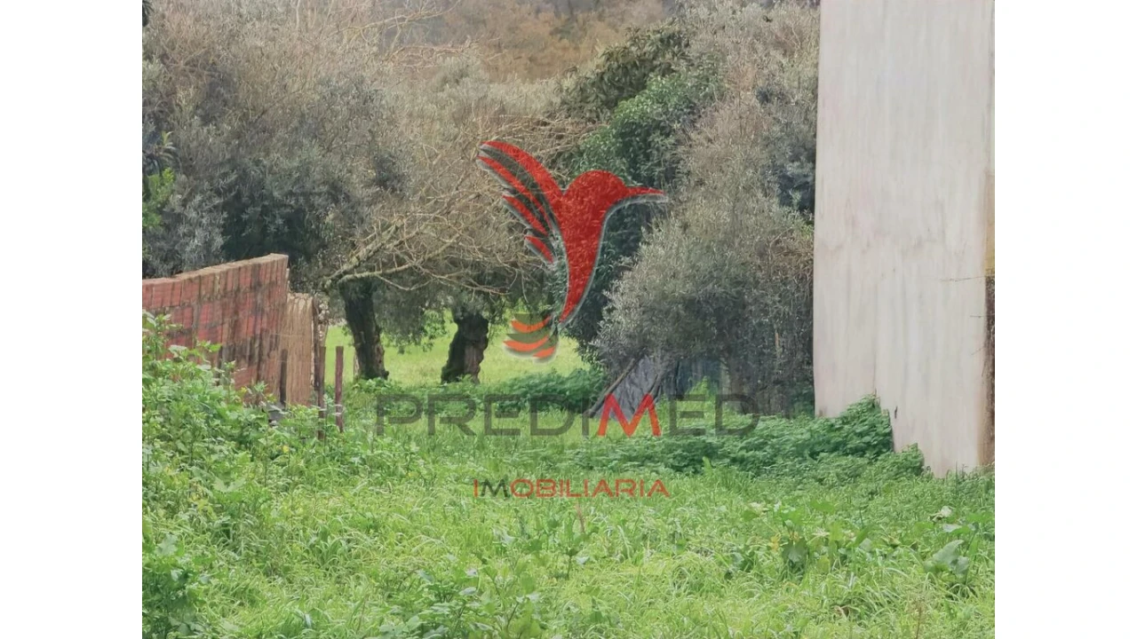 Terreno para Venda em Arneiro das Milhariças Foto 15