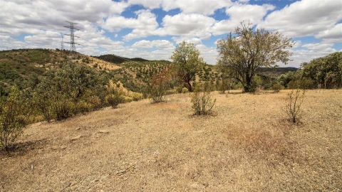 Terreno Agricola ou Rústico para Venda em Alcoutim e Pereiro