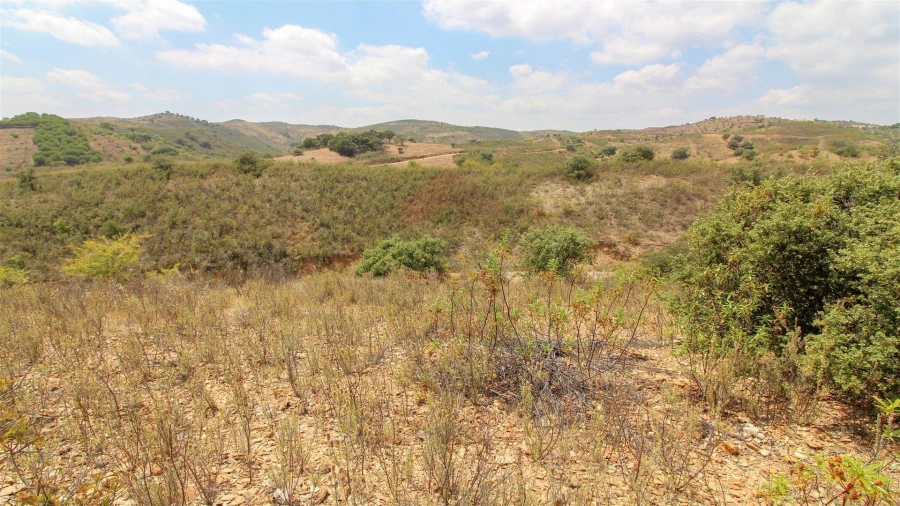 Terreno Agricola ou Rústico para Venda em Vaqueiros Foto 4