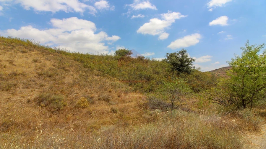 Terreno Agricola ou Rústico para Venda em Vaqueiros Foto 3