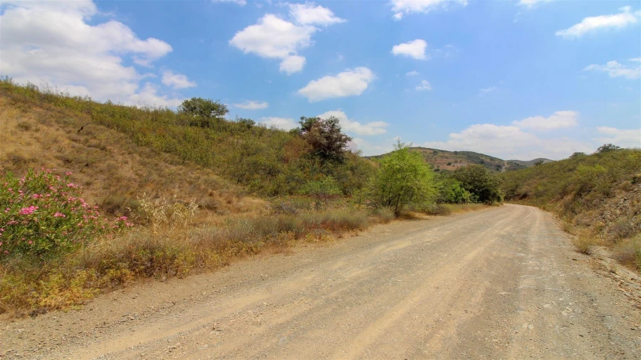 Terreno Agricola ou Rústico para Venda em Vaqueiros Foto 2